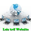 Luu tru Web Host, Lưu trữ Website Hosting